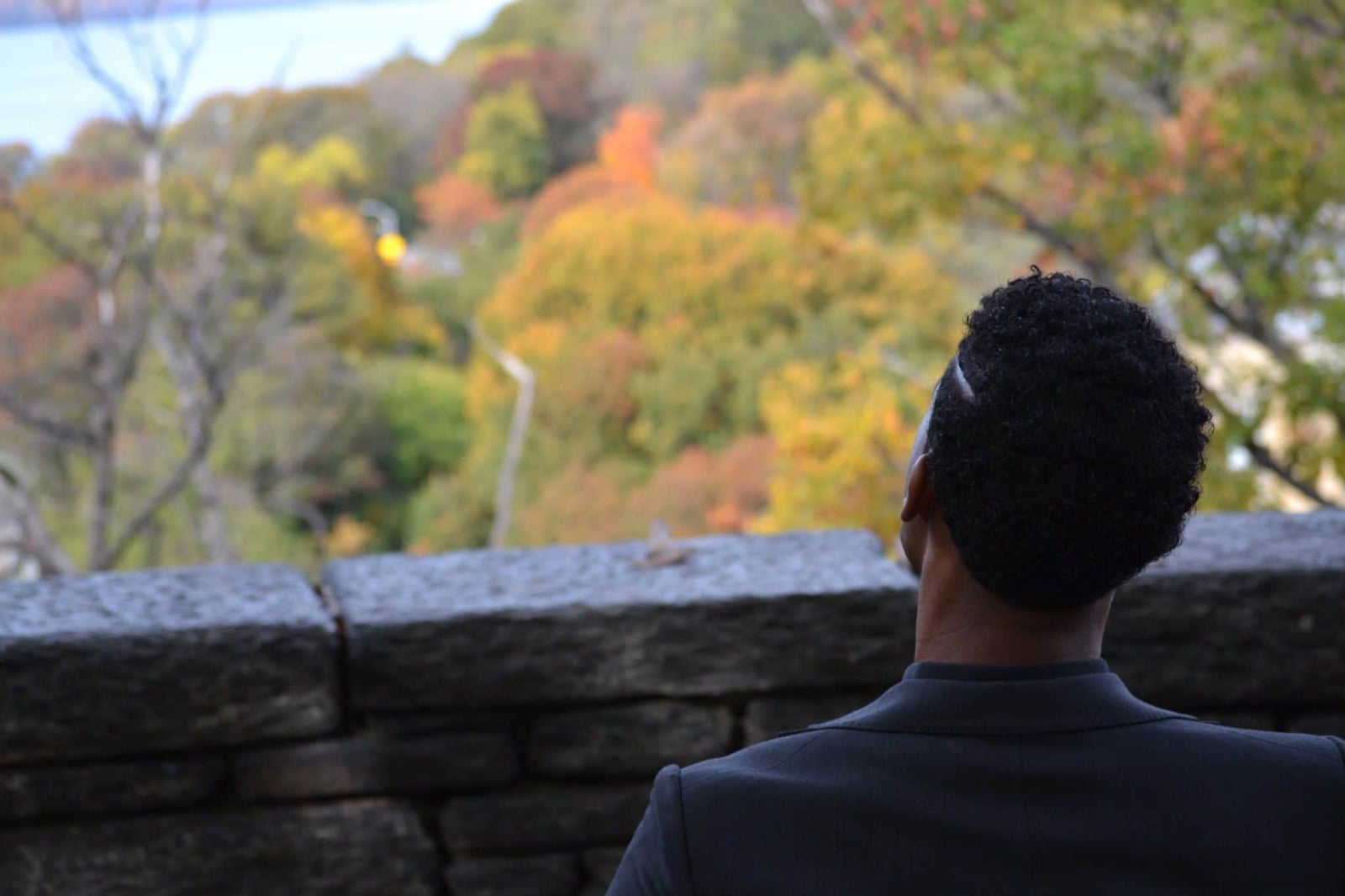 Homem observando árvores em uma paisagem de outono.